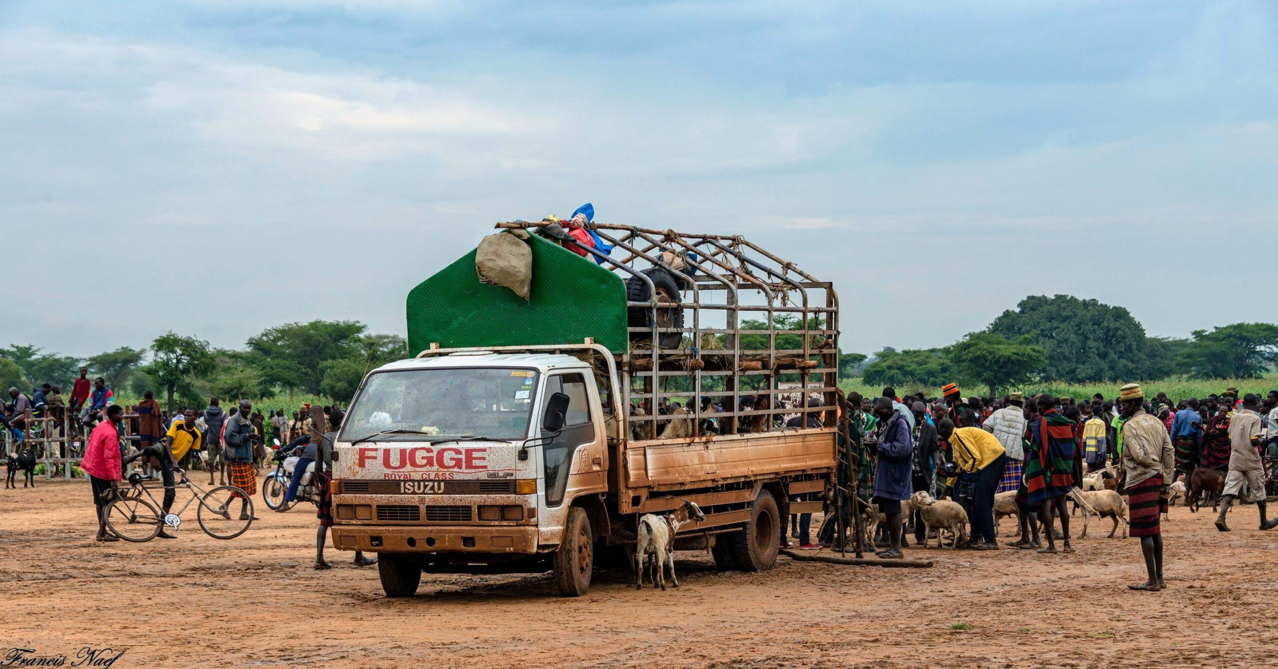 2019.07.31_09 11 20 NIKON D800 DSC_4422 319 scaled