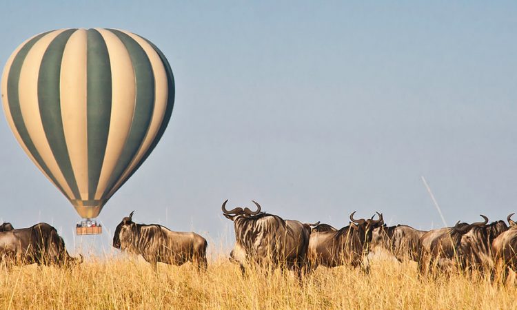 Hot Air Balloon Safari in Masai Mara 750x450 1