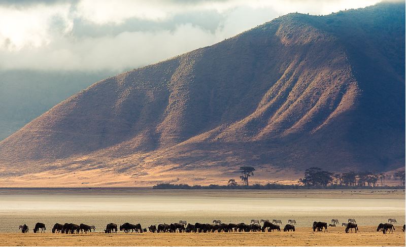 ngorongoro crater 2