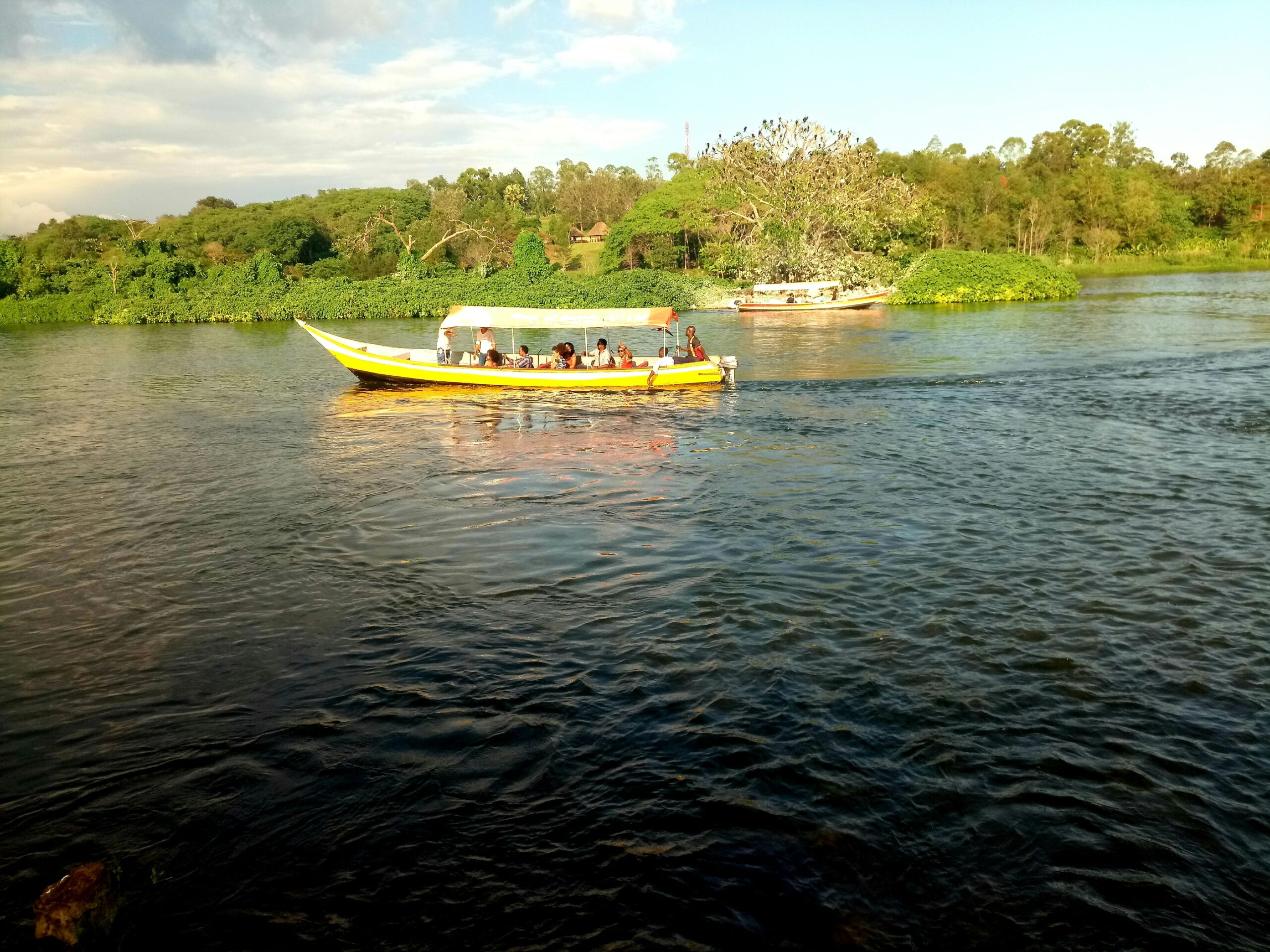 derricks nature book iSGFaRTro1Q unsplash scaled