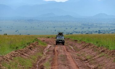13-Day – Best of Uganda Safari Experience