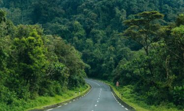 16-Day – The Ultimate Rwanda Experience