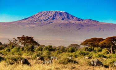 7-Day – Kilimanjaro Express Summit