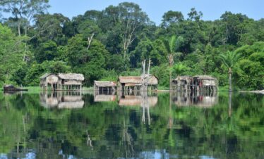 8-Day – Wild Wonders of Uganda and Congo