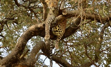 10-Day – The Ultimate Tanzania Safari Experience